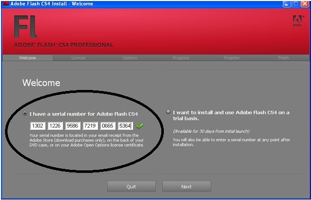 Серийные номер адоб. Серийный номер Adobe. Серийный номер Adobe Adobe Flash. Серийный номер для Adobe Flash. Серийные номера для Флэша.